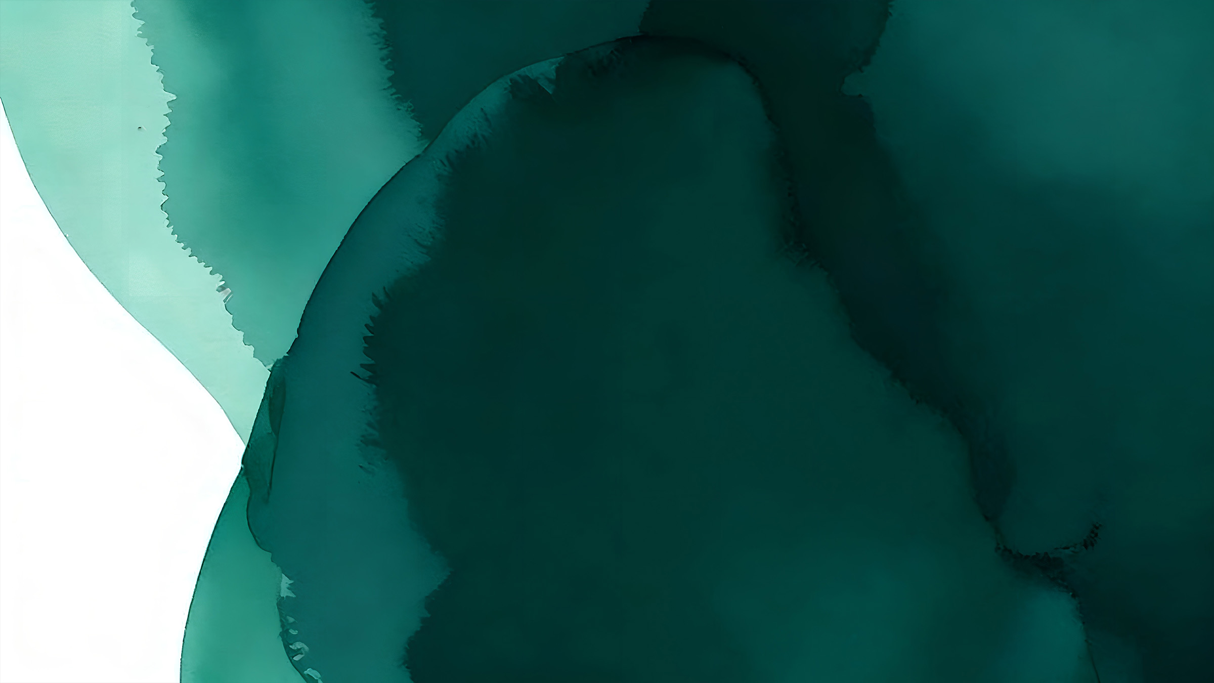 Koru Background 2